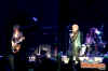 billyidol2.jpg (93712 bytes)